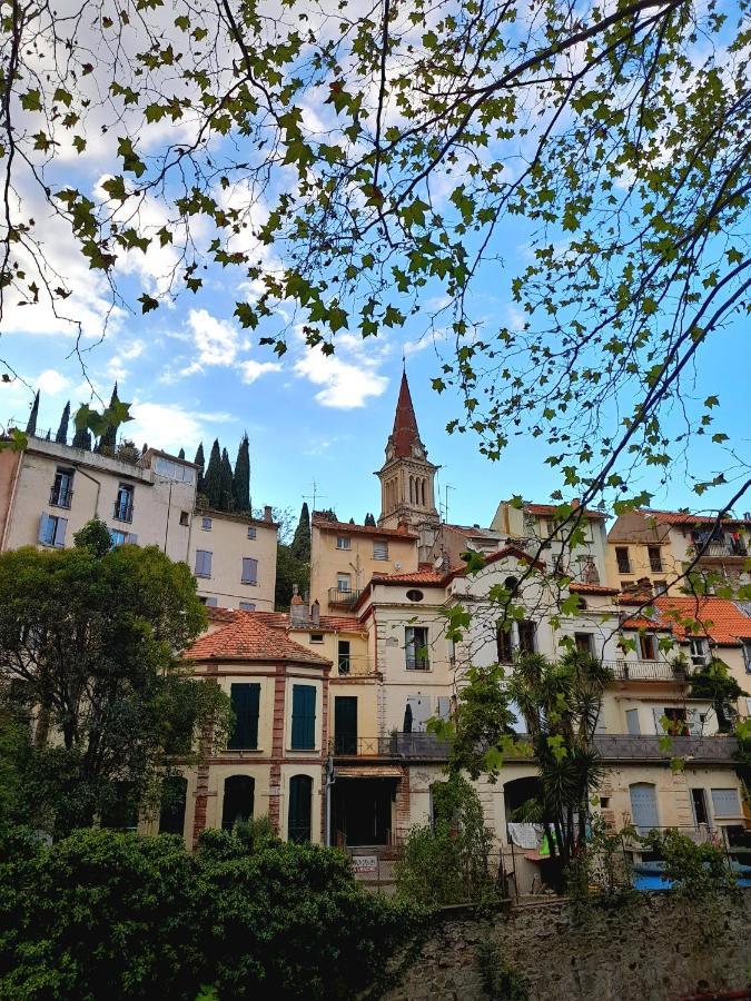 T2 Tout Confort Amelie-les-Bains-Palalda Exterior photo